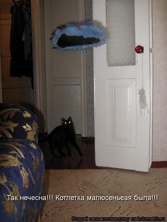 Так нечесна!!! Котлетка малюсеньеая была!!!... Котоматрица: Так нечесна!!! Котлетка малюсеньеая была!!!