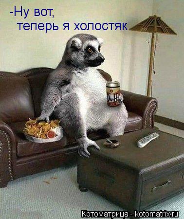 Котоматрица: -Ну вот, теперь я холостяк