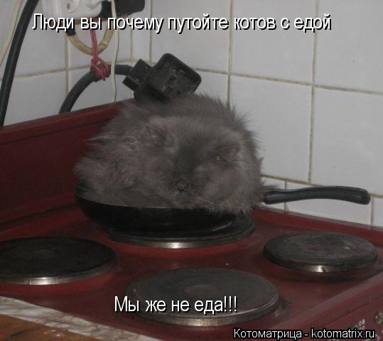 Котоматрица: Люди вы почему путойте котов с едой Мы же не еда!!!