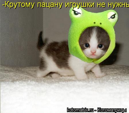 Котоматрица: -Крутому пацану игрушки не нужны