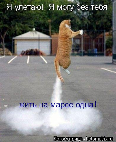 Котоматрица: Я улетаю! Я могу без тебя жить на марсе одна !