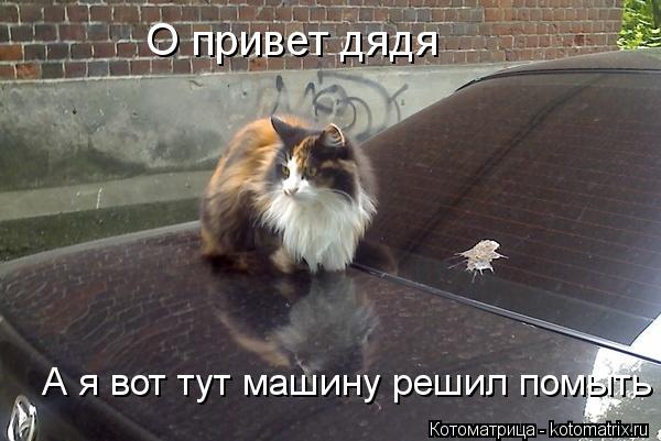 Котоматрица: О привет дядя  А я вот тут машину решил помыть