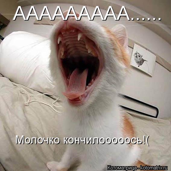 Котоматрица: ААААААААА...... Молочко кончилооооось!(