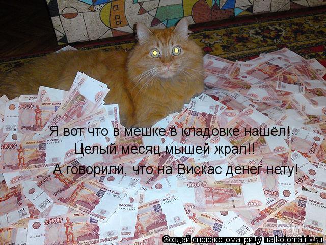Котоматрица: Я вот что в мешке в кладовке нашёл! Целый месяц мышей жрал!! А говорили, что на Вискас денег нету!