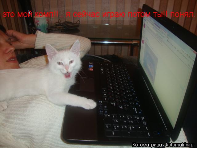Котоматрица: это мой комп!! . я сейчас играю потом ты!! понял.