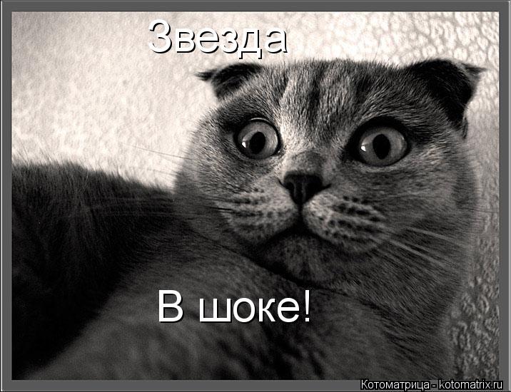 Котоматрица: Звезда В шоке!