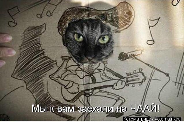 Котоматрица: Мы к вам заехали на ЧААЙ!