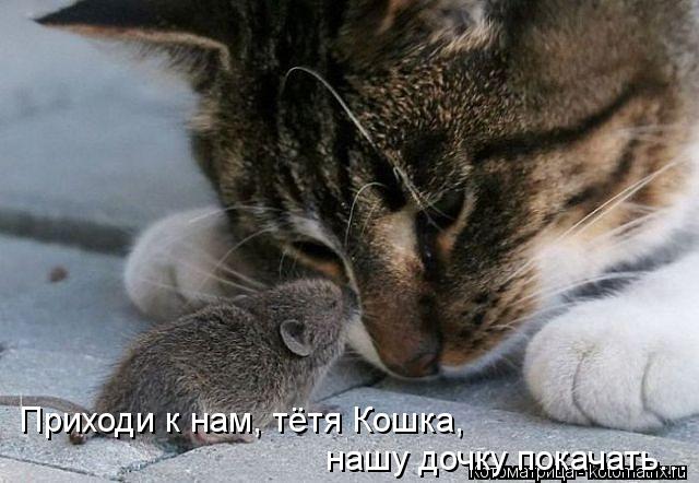 Котоматрица: Приходи к нам, тётя Кошка, нашу дочку покачать...