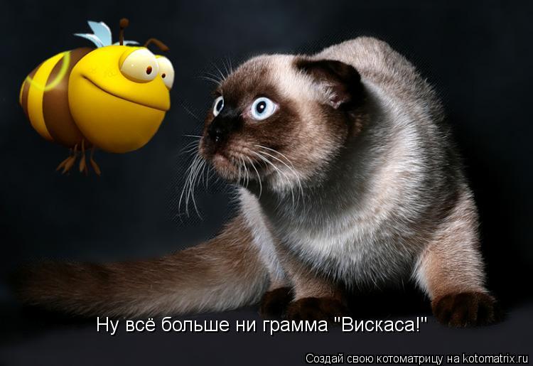 Котоматрица: Ну всё больше ни грамма "Вискаса!"