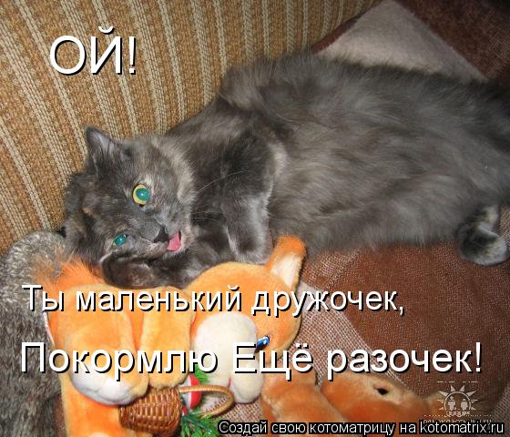 ОЙ! Ты маленький дружочек, Покормлю Ещё разочек!... Котоматрица: ОЙ! Ты маленький дружочек, Покормлю Ещё разочек!