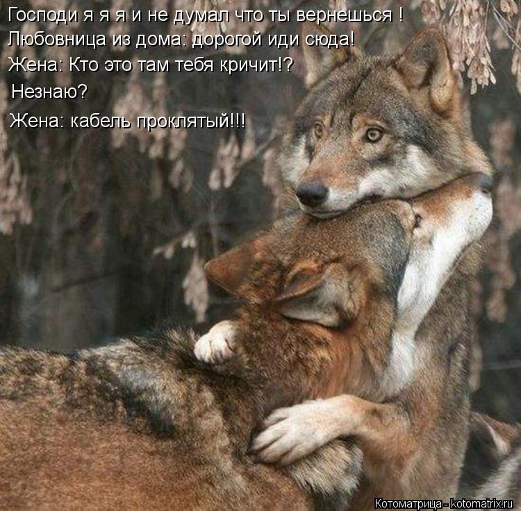 Котоматрица: Господи я я я и не думал что ты вернешься ! Любовница из дома: дорогой иди сюда! Жена: Кто это там тебя кричит!? Незнаю? Жена: кабель проклятый!!!
