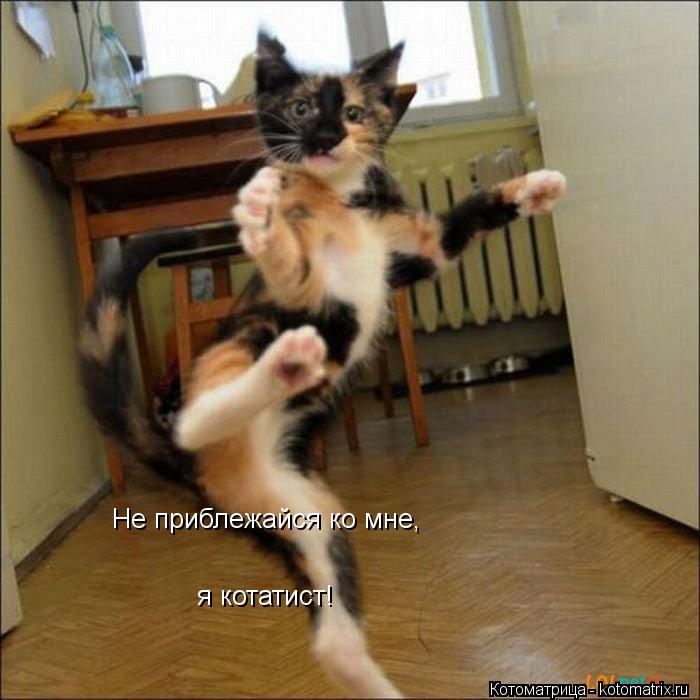 Котоматрица: Не приблежайся ко мне, я котатист!