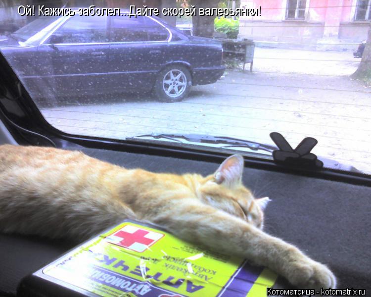 Котоматрица: Ой! Кажись заболел...Дайте скорей валерьянки!