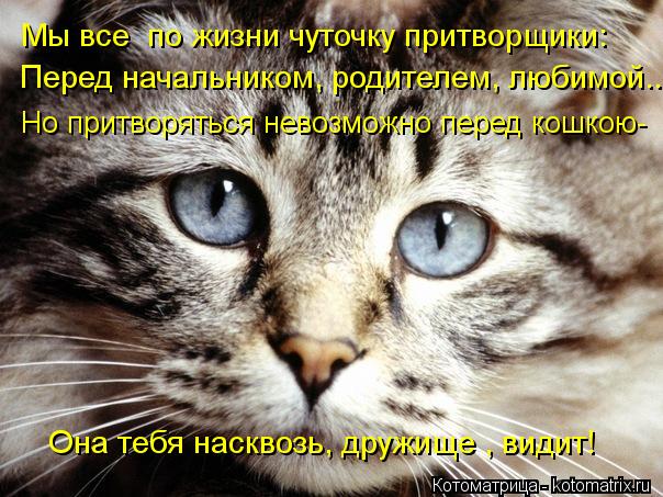 Котоматрица: Она тебя насквозь, дружище , видит! Мы все  по жизни чуточку притворщики: Перед начальником, родителем, любимой... Но притворяться невозможно 