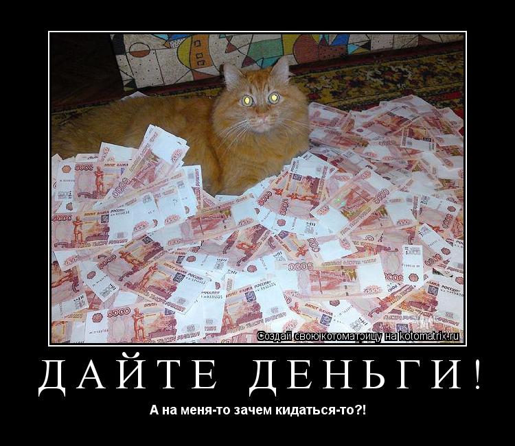 дайте деньги! А на меня-то зачем кидаться-то?!... Котоматрица: дайте деньги! А на меня-то зачем кидаться-то?!