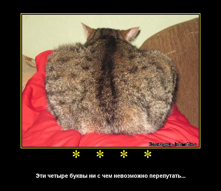 Котоматрица: * * * * Эти четыре буквы ни с чем невозможно перепутать...