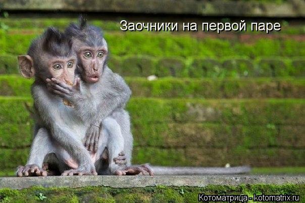 Заочники на первой паре... Котоматрица: Заочники на первой паре
