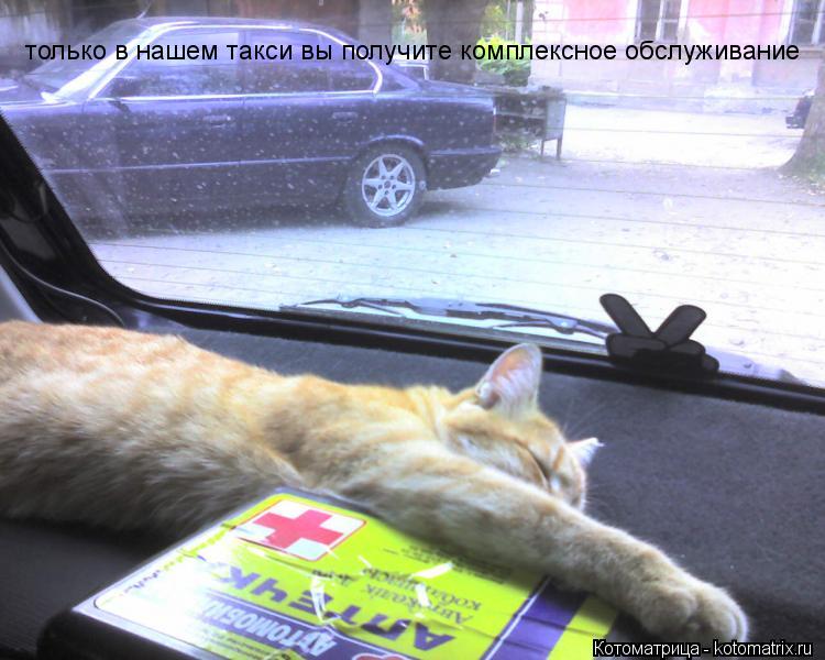 только в нашем такси вы получите комплексное обслуживание... Котоматрица: только в нашем такси вы получите комплексное обслуживание