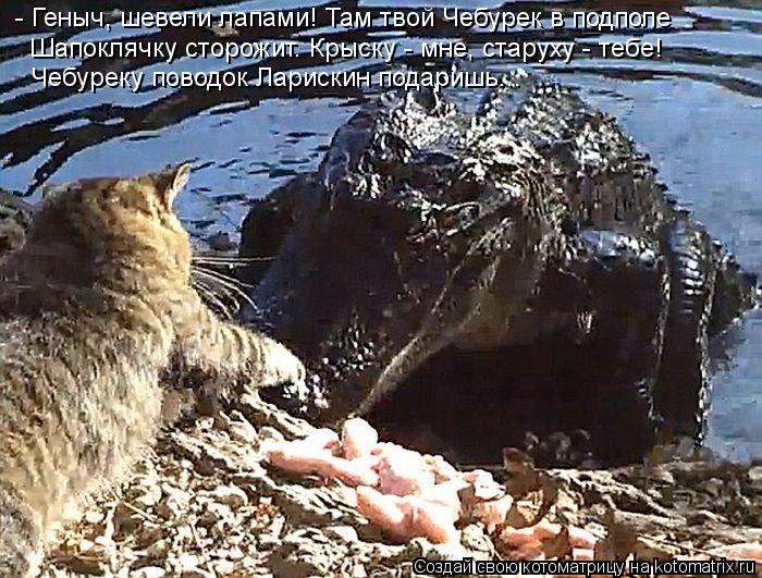 - Геныч, шевели лапами! Там твой Чебурек в подполе Шапоклячку сторожит. Крыску - мне, старуху - тебе!... Котоматрица: - Геныч, шевели лапами! Там твой Чебурек в подполе Шапоклячку сторожит. Крыску - мне, старуху - тебе! Чебуреку поводок Ларискин подаришь...