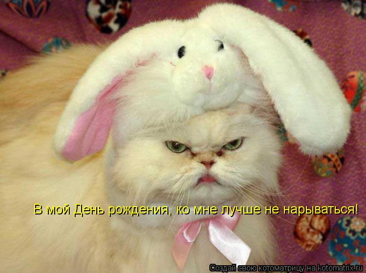 В мой День рождения, ко мне лучше не нарываться!... Котоматрица: В мой День рождения, ко мне лучше не нарываться!