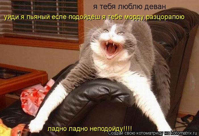 я тебя люблю деван уйди я пьяный есле подойдёш я тебе морду разцорапою ладно ладно неподойду!!!!... Котоматрица: я тебя люблю деван уйди я пьяный есле подойдёш я тебе морду разцорапою ладно ладно неподойду!!!!