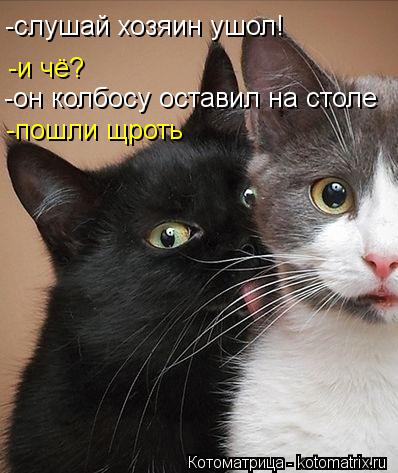 -слушай хозяин ушол! -и чё? -он колбосу оставил на столе -пошли щроть... Котоматрица: -слушай хозяин ушол! -и чё? -он колбосу оставил на столе -пошли щроть