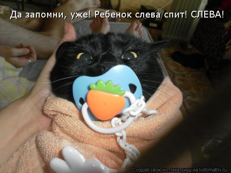 Котоматрица: Да запомни, уже! Ребенок слева спит! СЛЕВА!