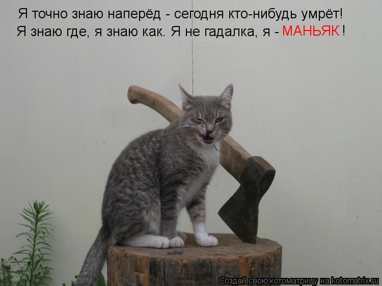 Котоматрица: Я точно знаю наперёд - сегодня кто-нибудь умрёт! Я знаю где, я знаю как. Я не гадалка, я -  МАНЬЯК !