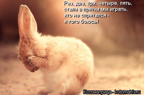 Котоматрица: Раз, два, три, четыре, пять, стали в прятки мы играть, кто не спрятался - я того боюсь!