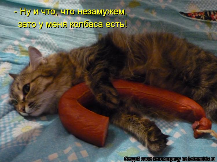 - Ну и что, что незамужем, зато у меня колбаса есть!... Котоматрица: - Ну и что, что незамужем, зато у меня колбаса есть!