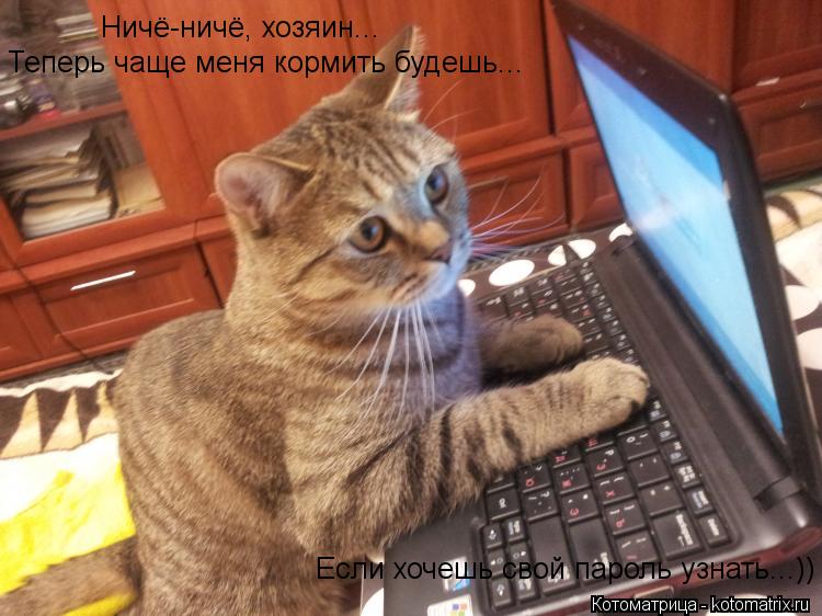 Котоматрица: Ничё-ничё, хозяин... Теперь чаще меня кормить будешь... Если хочешь свой пароль узнать...))