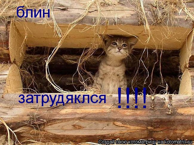 Котоматрица: блин  затрудяклся !!!!