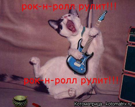Котоматрица: рок-н-ролл рулит!!! рок-н-ролл рулит!!!