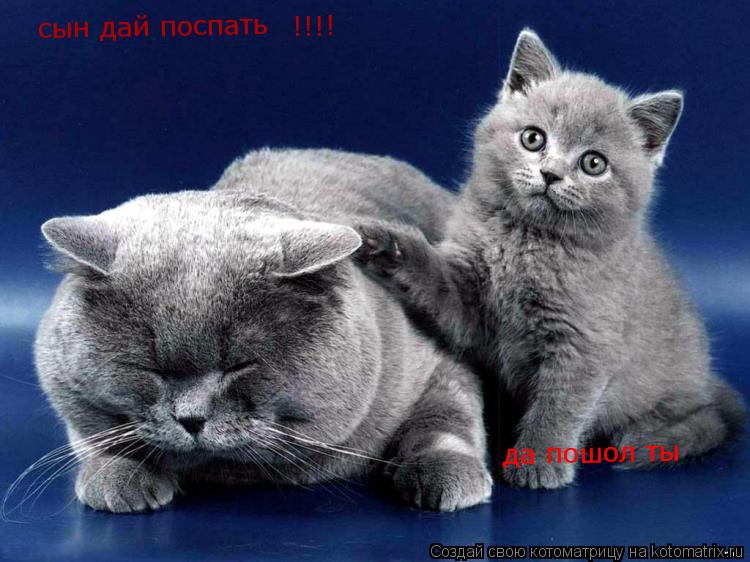 Котоматрица: сын дай поспать !!!! да пошол ты