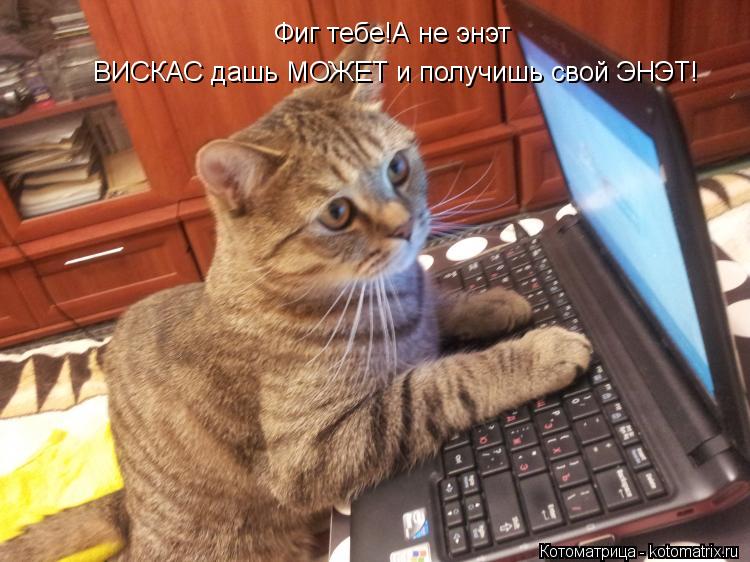 Котоматрица: Фиг тебе!А не энэт ВИСКАС дашь МОЖЕТ и получишь свой ЭНЭТ!