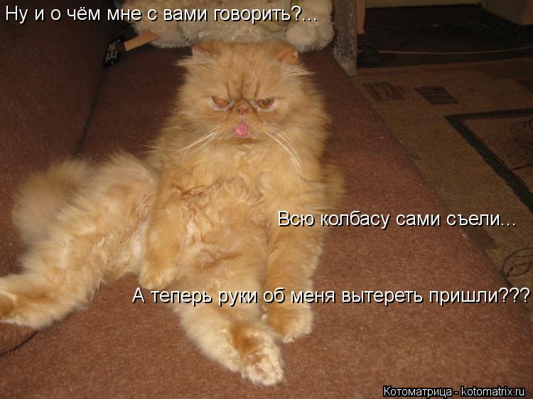 Котоматрица: Ну и о чём мне с вами говорить?...  Всю колбасу сами съели... А теперь руки об меня вытереть пришли???