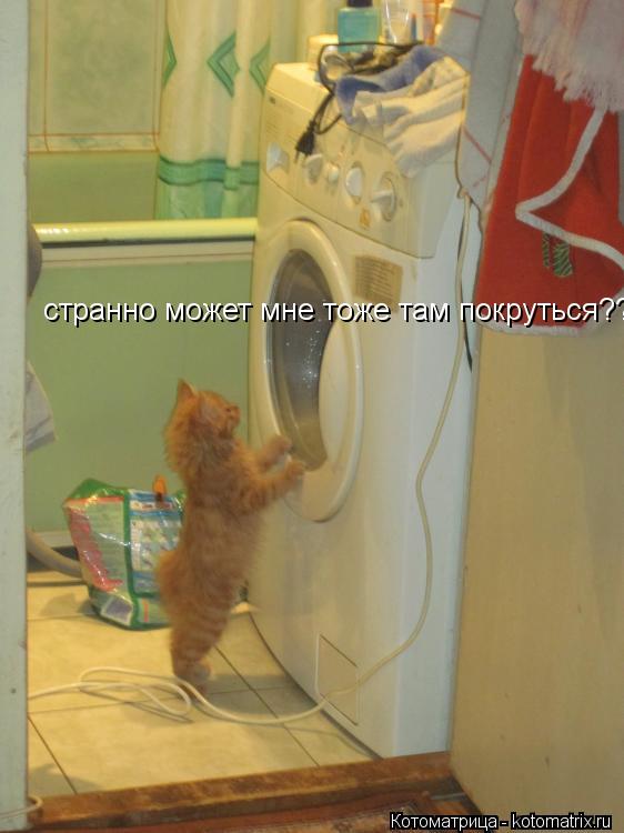 Котоматрица: странно может мне тоже там покруться?????7