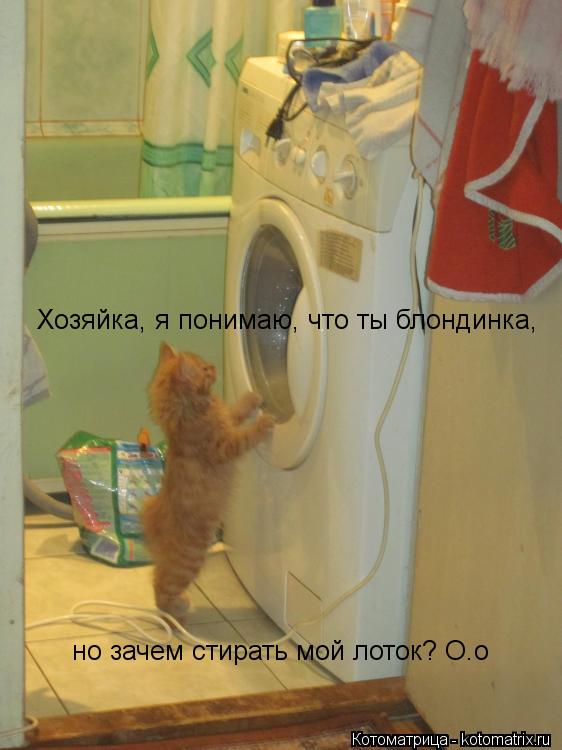 Котоматрица: Хозяйка, я понимаю, что ты блондинка, но зачем стирать мой лоток? О.о