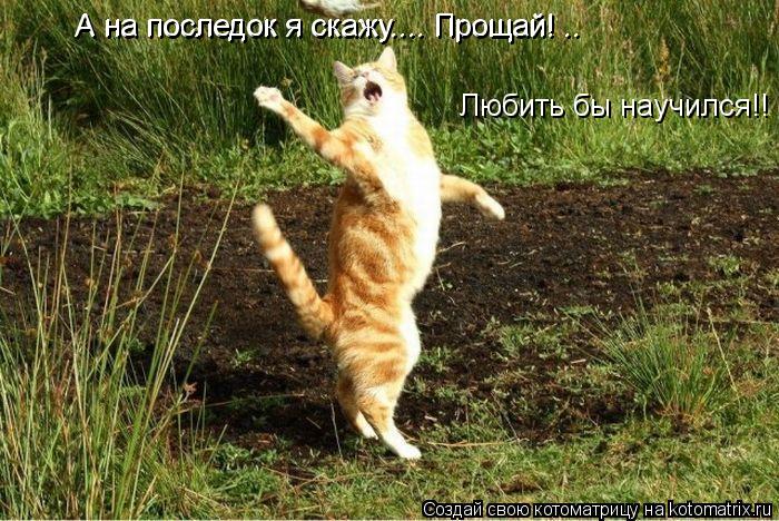Котоматрица: А на последок я скажу.... Прощай! .. А на последок я скажу.... Прощай! .. Любить бы научился!!