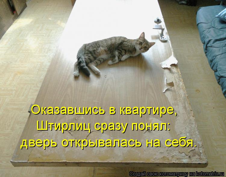 Котоматрица: дверь открывалась на себя. Штирлиц сразу понял: Оказавшись в квартире,