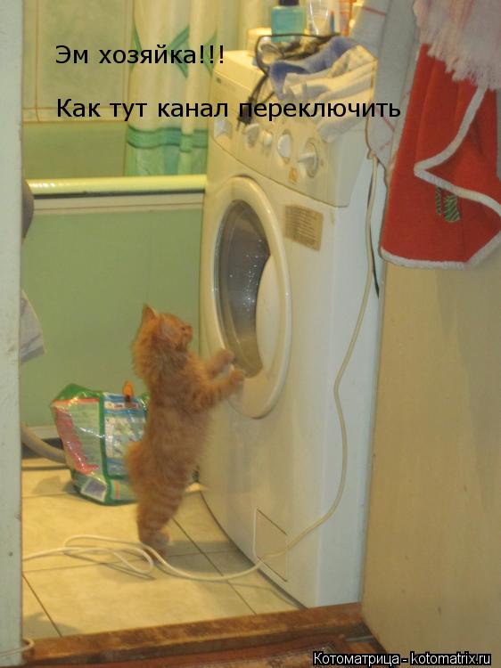 Котоматрица: Эм хозяйка!!! Как тут канал переключить