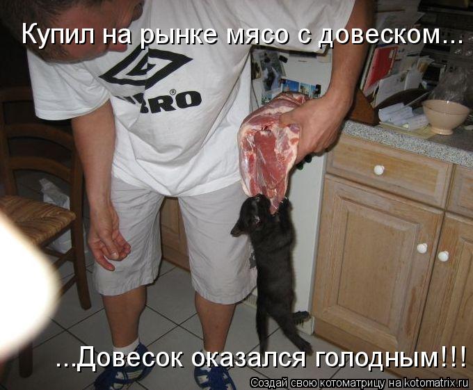 Котоматрица: Купил на рынке мясо с довеском... ...Довесок оказался голодным!!!