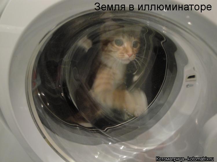 Котоматрица: Земля в иллюминаторе
