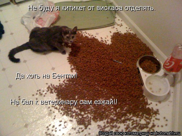 Котоматрица: Не буду я китикет от вискаса отделять.  Да хоть на Бентли!   На бал к ветеринару сам езжай!!