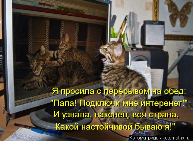 Котоматрица: Я просила с перерывом на обед: И узнала, наконец, вся страна, Какой настойчивой бываю я!" "Папа! Подключи мне интеренет!"