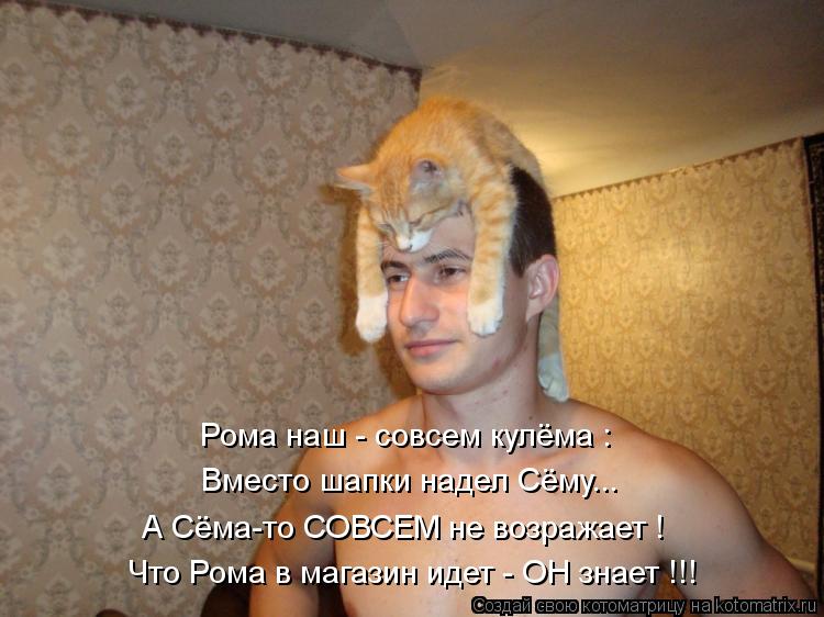 Котоматрица: Рома наш - совсем кулёма : Вместо шапки надел Сёму... А Сёма-то СОВСЕМ не возражает ! Что Рома в магазин идет - ОН знает !!!
