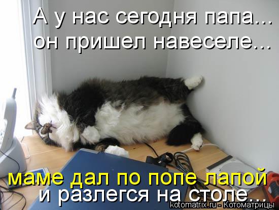 Котоматрица: А у нас сегодня папа... он пришел навеселе... и разлегся на столе... маме дал по попе лапой