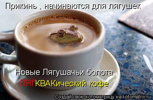 Котоматрица: Прикинь , начинаются для лягушек  Новые Лягушачьи болота ЛЯГ КВАКический кофе