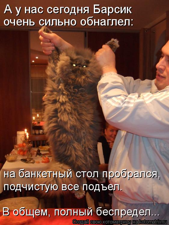 Котоматрица: А у нас сегодня Барсик  очень сильно обнаглел: на банкетный стол пробрался,  подчистую все подъел. В общем, полный беспредел...