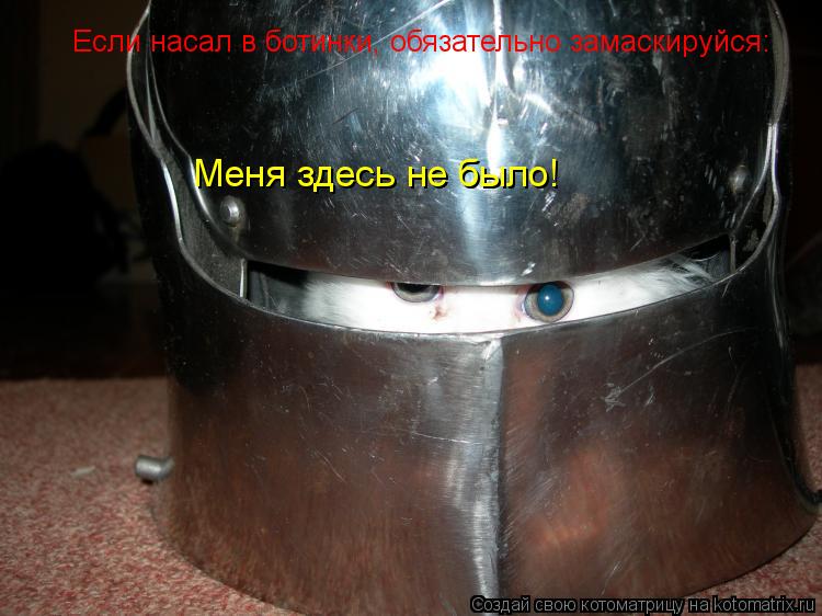 Котоматрица: Если насал в ботинки, обязательно замаскируйся: Меня здесь не было!